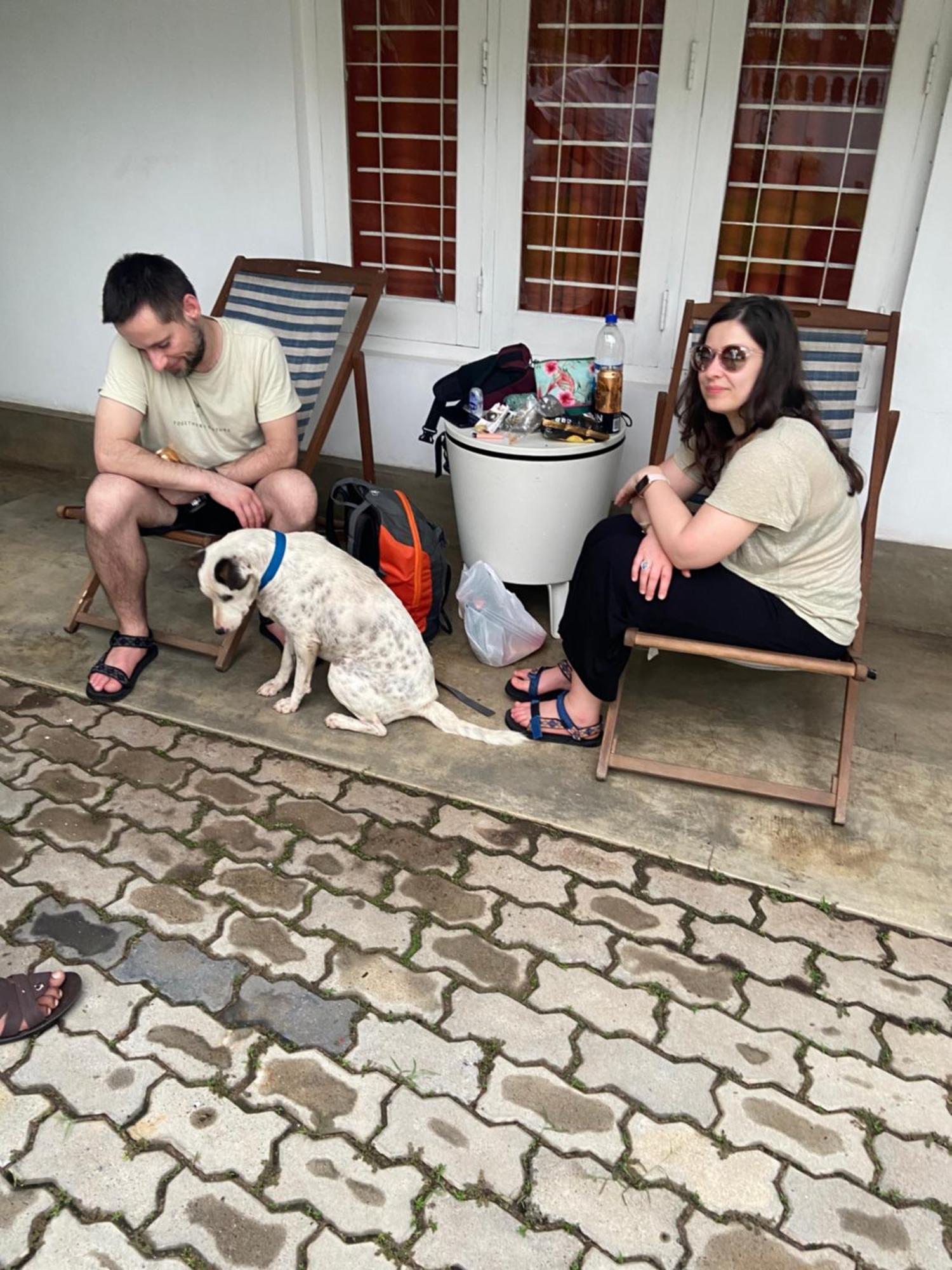 Dions Guest House نيجومبو المظهر الخارجي الصورة
